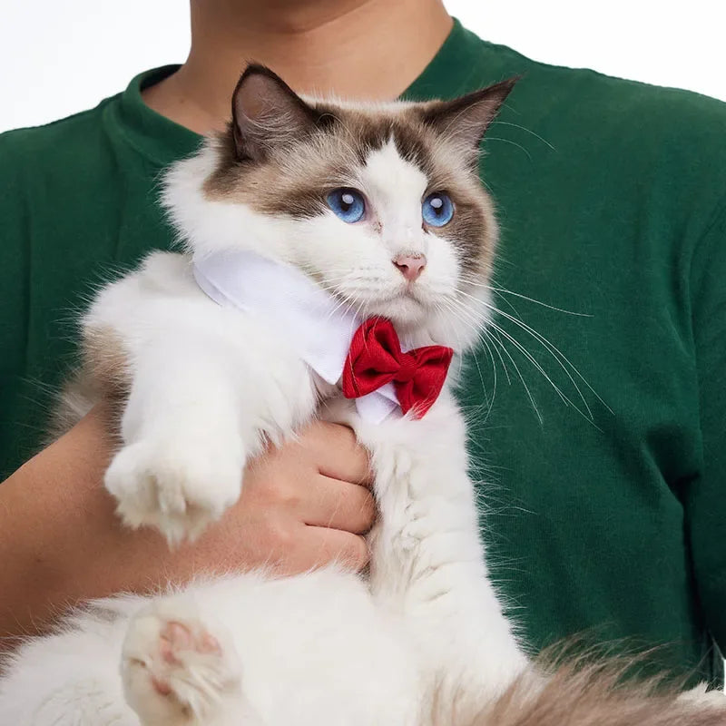 Adjustable Pet neck Bow Tie Costume