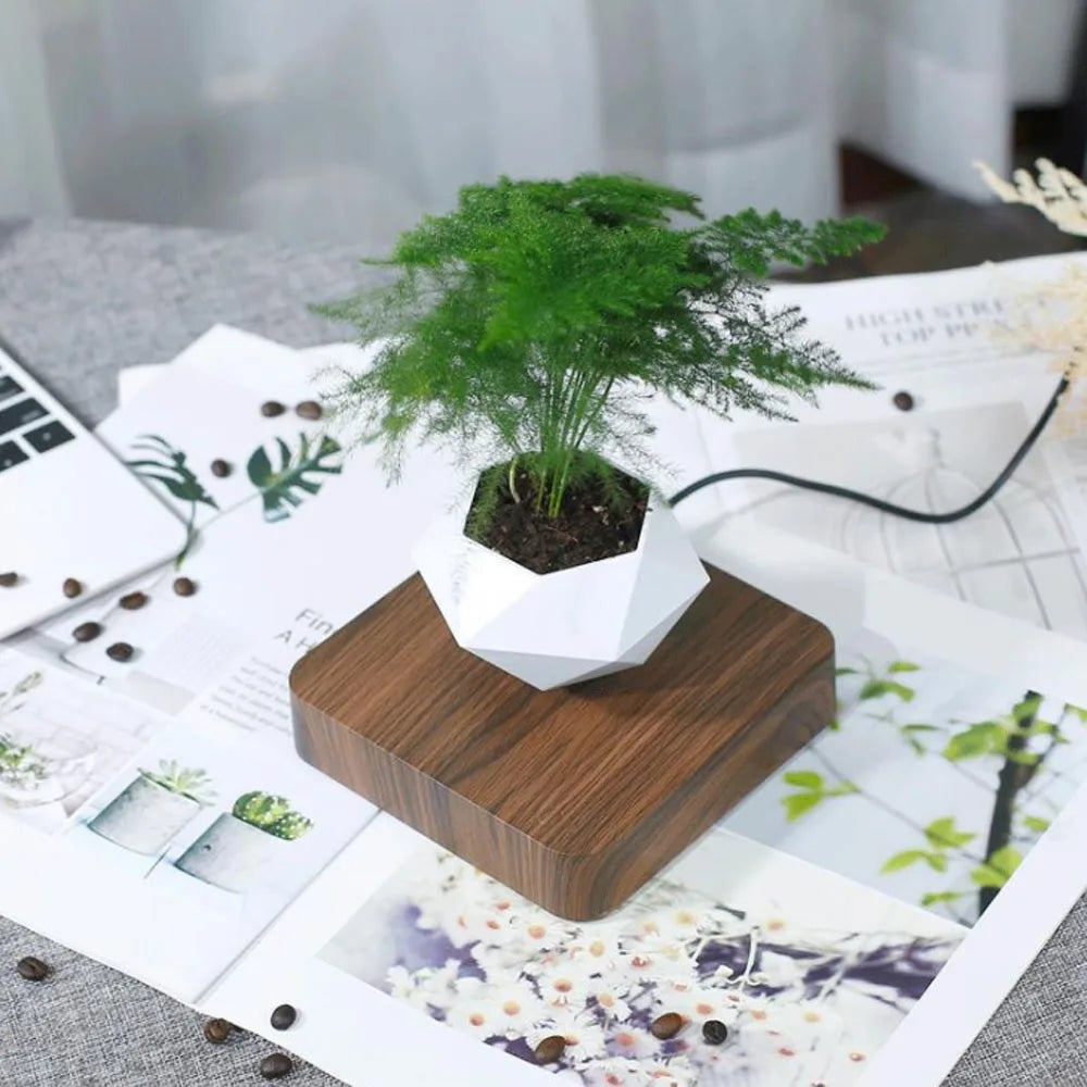 Levitating Air Bonsai Pot Rotation Flowerpot