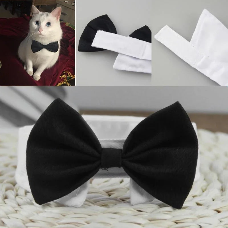 Adjustable Pet neck Bow Tie Costume